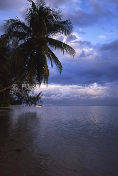 Islands;ocean;palm trees;blue;water;sky;moorea;french polynesia;reflection